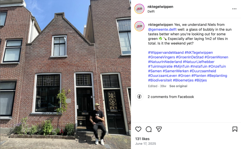 NK Tegelwippen - depaving competition