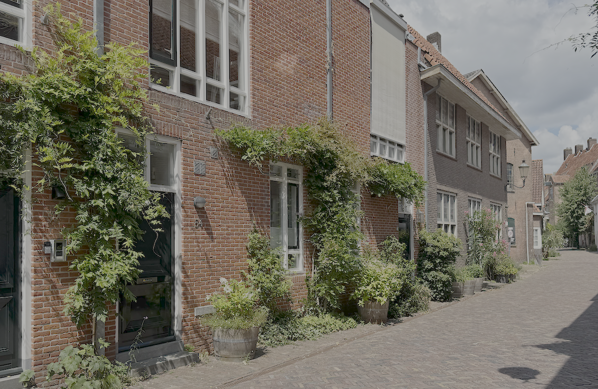 greenery in front of European houses